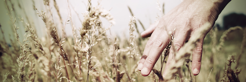 Protection pendant les traitements agricoles